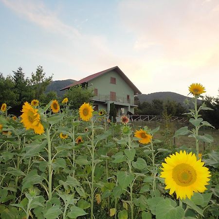 Green House Bed and Breakfast Morano Calabro Esterno foto