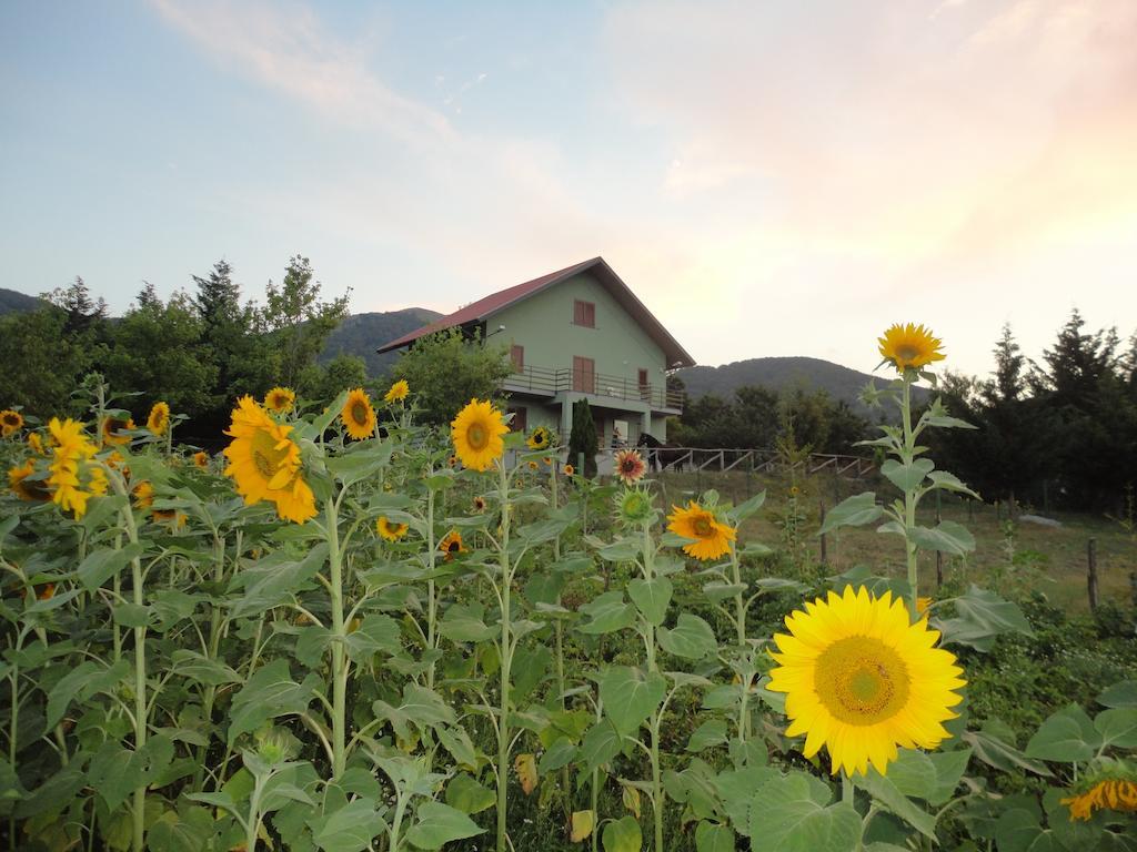 Green House Bed and Breakfast Morano Calabro Esterno foto