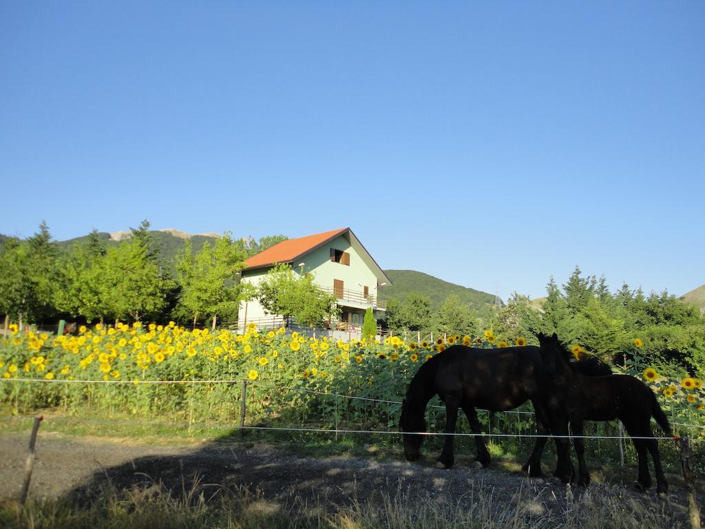 Green House Bed and Breakfast Morano Calabro Esterno foto