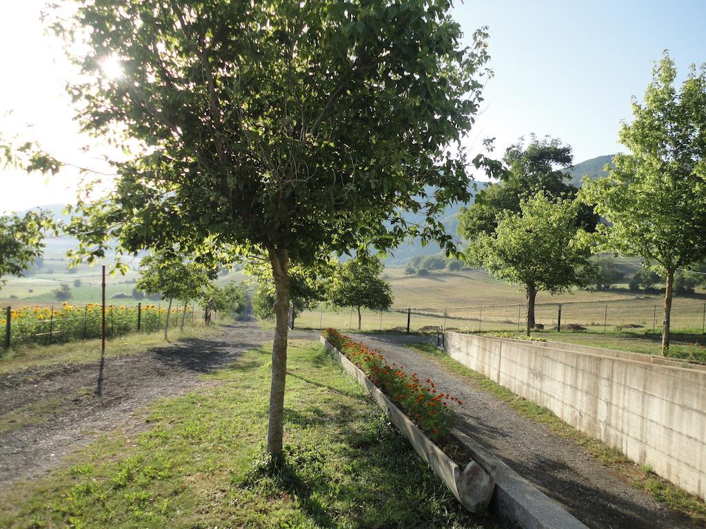 Green House Bed and Breakfast Morano Calabro Esterno foto